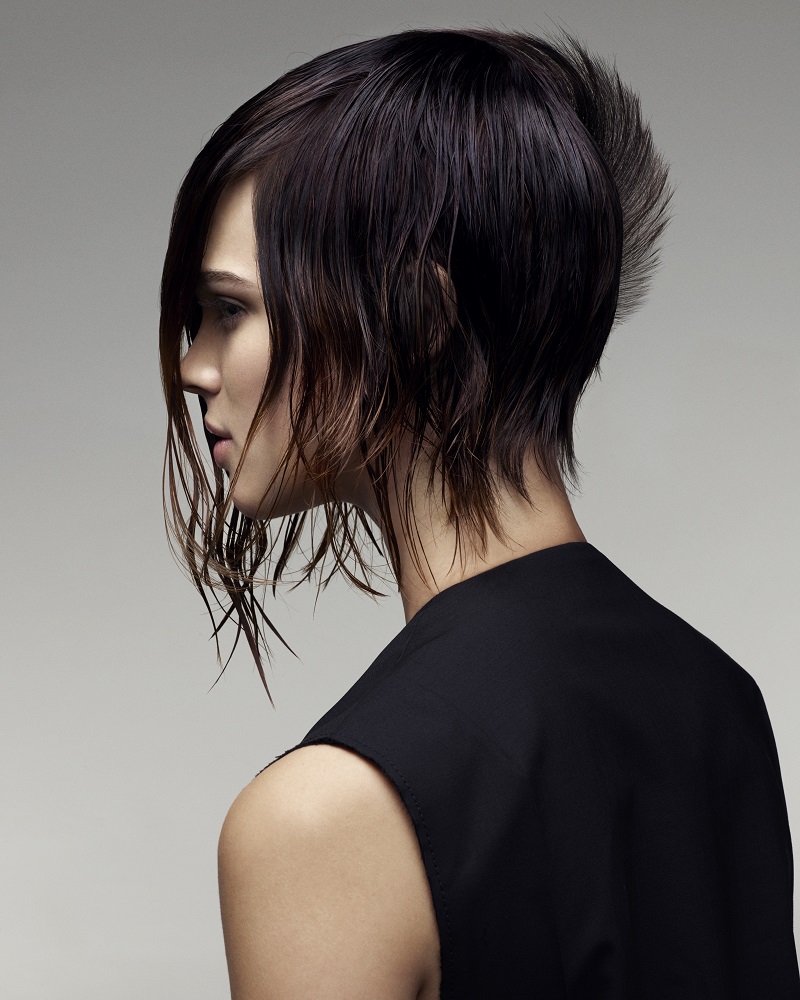 Eclection By Trevor Sorbie 2