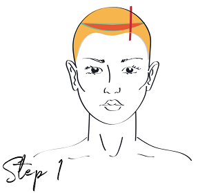 Flashlight technique - Step 1 - www.salonbusiness.co.uk