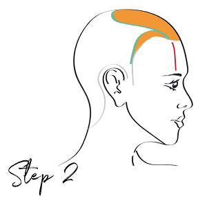 T- Sectioning - Step 2 - www.salonbusiness.co.uk