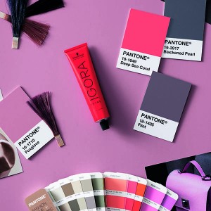 IGORA_0621_166_1__HighRes_CMYK