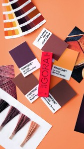 IGORA_0621_174_9x16__HighRes_CMYK