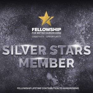 Silver-Stars- www.salonbusiness.co.uk