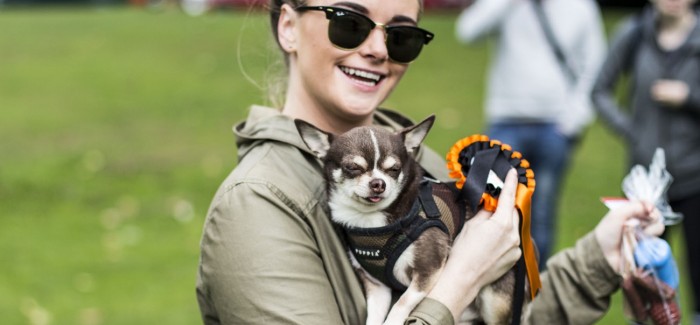 JFK Raises Money For Edinburgh Dog And Cat Home Charity