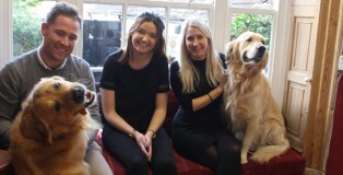 Q CANINE -www.salonbusiness.co.uk