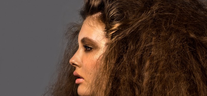 New Exhibition: Andrew’s Beehives, Bobs and Blowdries