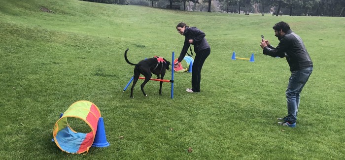 HAIR BY JFK RAISES MONEY FOR THE EDINBURGH DOG AND CAT HOME CHARITY