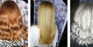 muse spice rack  cover