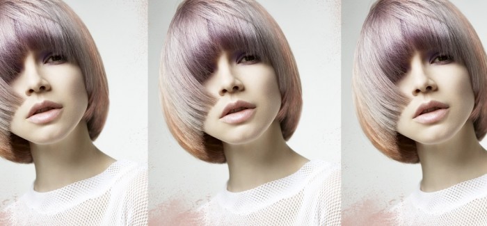 The Fellowship for British Hairdressing – Projects update