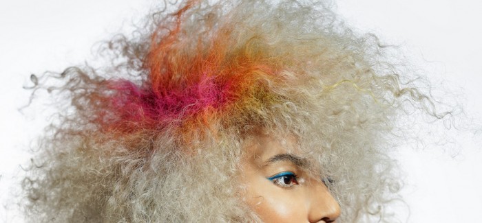 Collections To Inspire: Globally Blonde by Tim Scott Wright