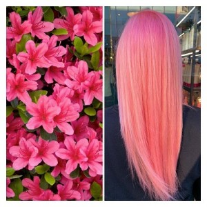 @chrisblackaveda aveda winner - www.salonbusiiness.co.uk