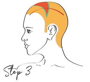 Flashlight technique - Step 3 - www.salonbusiness.co.uk