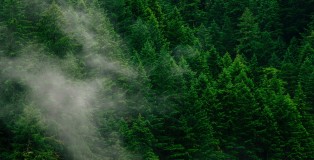 green cover - www.salonbusiness.co.uk