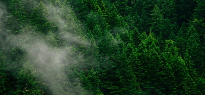 Kao recognized as one of the “World’s Most Ethical Companies 2021