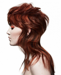 spice colour trend - www.salonbusiness.co.uk