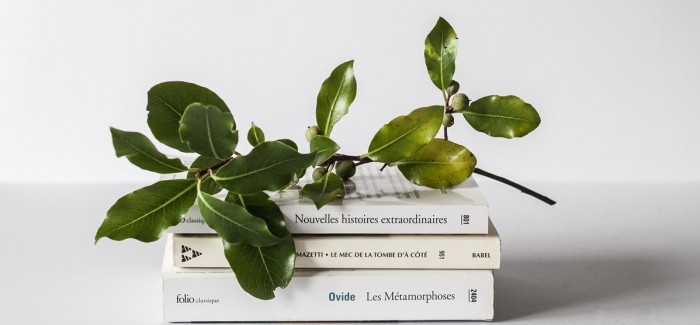 Davines Education – Talent Green House 2022
