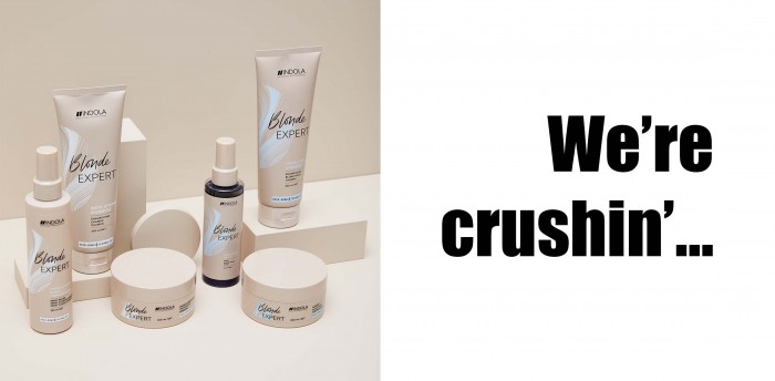 #AbsoluteBlondeExpert