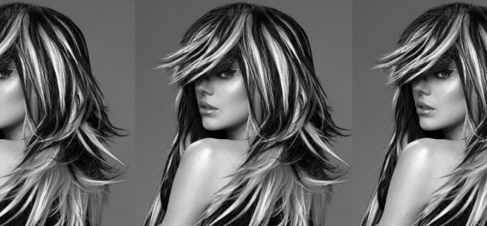 Darrel Starkey Mini Collection