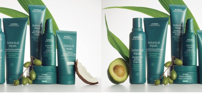 Aveda Corporation Announces B CorpTM Certification, Recognising its 40+ Year  Commitment to Care for the Planet