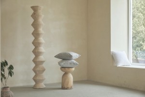 GOLDWELL IVORY TREND - www.salonbusiness.co.uk