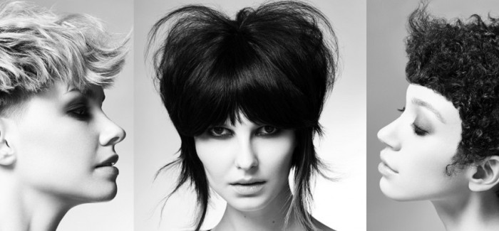 Inside Collection by Andrew Smith