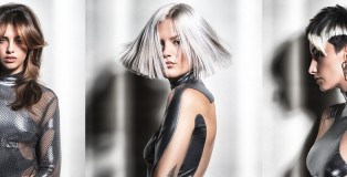 The BBHD TRANSCENDENT COLLECTION