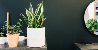 greg-trowman-k7AvgINPgdg-unsplash - www.salonbusiness.co.uk