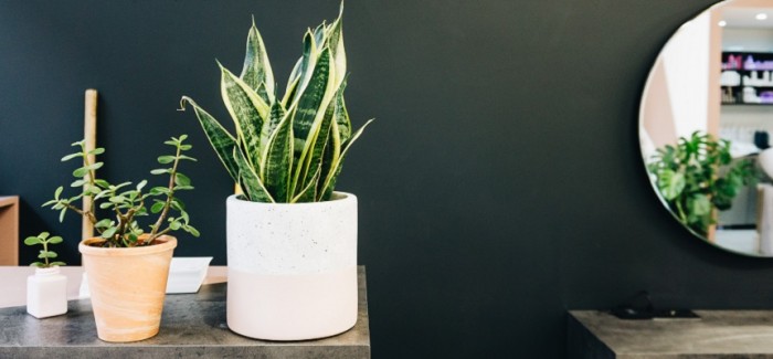 NHBF Autumn Statement