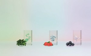 BC_Scalp_ERB_Comp_bunterFond_Ingridiens__HighRes_CMYK - www.salonbuisness.co.uk