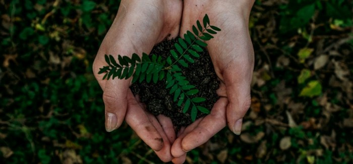 Discover Paul Mitchell’s New Lemon Sage Hair Care Products