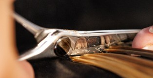 xp closeup cut - www.salonbusiness.co.uk