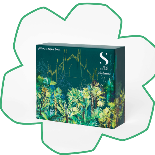 ALFAPARF Milano 2024 Holiday Sets 4 - www.salonbusiness.co.uk