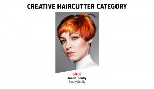 creative haircutter category - www.salonbusiness.co.uk