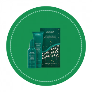 Aveda christmas 1 - www.salonbusiness.co.uk