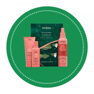 Aveda christmas 2 - www.salonbusiness.co.uk