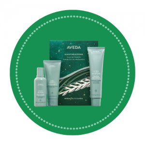 Aveda christmas 3 - www.salonbusiness.co.uk