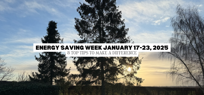 ANNE VECK’S TOP ECO TIPS