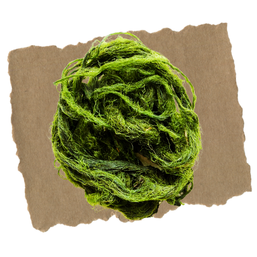 algae ball - www.salonbusiness.co.uk