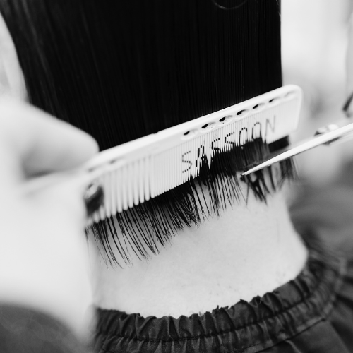 sassoon connect 1