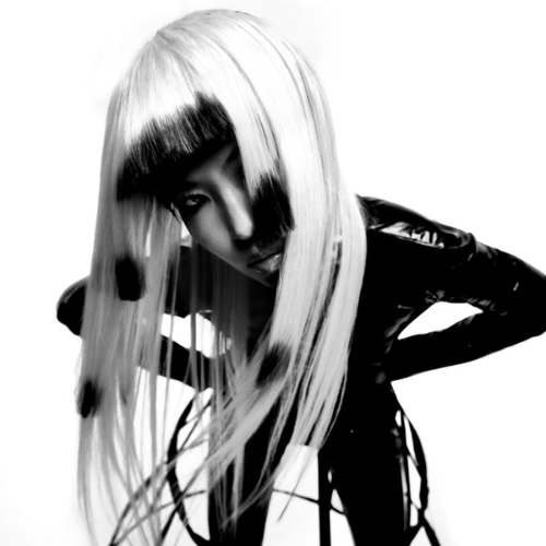 Project X Collection 2024