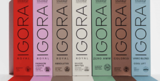 BlondeMe Essentials The Art of Perfect Blondes