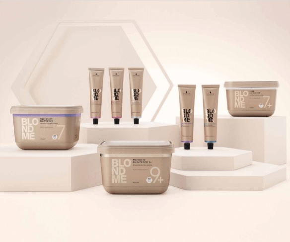 IGORA ESSENTIALS: Mastering Colour Foundations