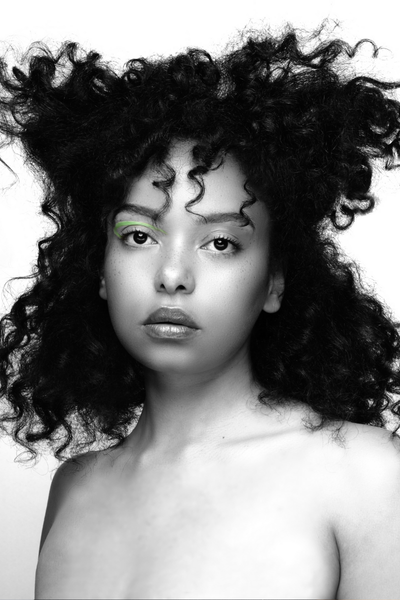 Chris Grimley collection 