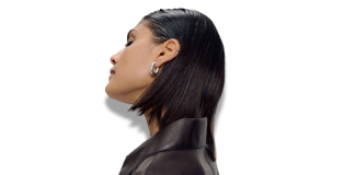 INDOLA hair tips