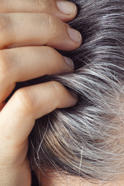 Jim Shaw 2025 mens winter colour trends 