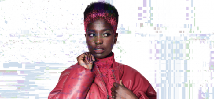 Fellowship F.A.M.E. Team’s Hybrid Collection