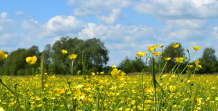 Colourstart and TrichoCare Allergy Awareness Week 2026