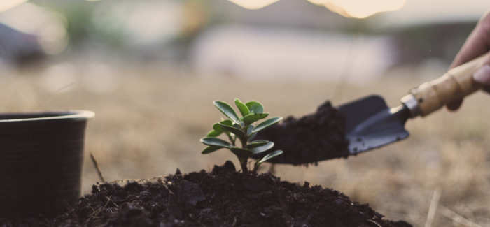 <a href='https://www.salonbusiness.co.uk/get-to-know-paul-mitchells-eco-credentials-this-earth-month/'> <h3 class='title' >Get To Know Paul Mitchell’s Eco Credentials This Earth Month</h3><p>From packaging innovation and tackling salon waste, to building a long-term climate strategy. ... <span class="more-link"><a href="https://www.salonbusiness.co.uk/get-to-know-paul-mitchells-eco-credentials-this-earth-month/" class="more-link">Read More</a></span></p>