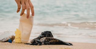 KEVIN MURPHY Earth Day