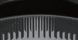 PRO TOOLS BRUSHES FROM ALFAPARF MILANO